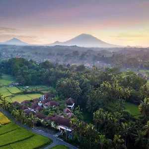 https://dedari-kriyamaha-villas.ubudhotelsnow.com
